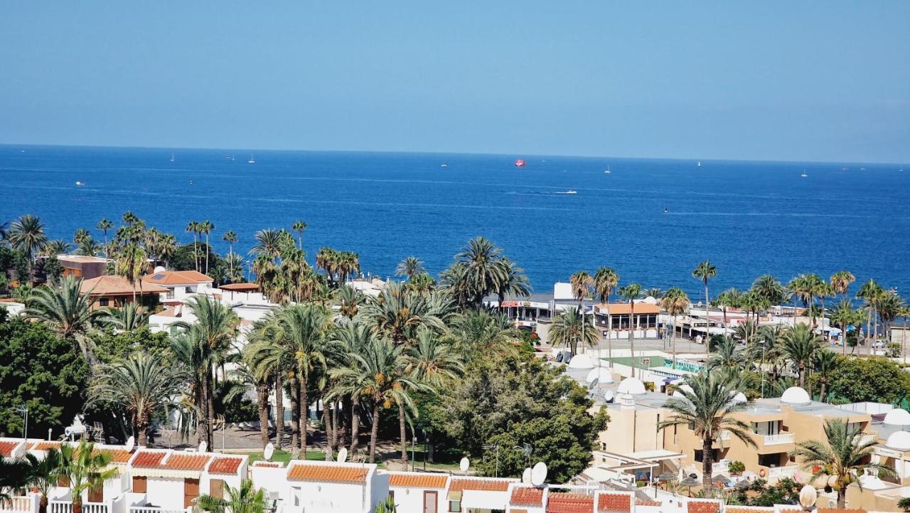 Olympia Studio, Ocean View بلايا ذي لاس أميريكاس المظهر الخارجي الصورة